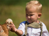 zum Vergrößern bitte anklicken